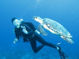 048 Christina and a Hawksbill Sea Turtle IMG 5817